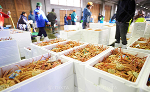 水産業・水産加工業